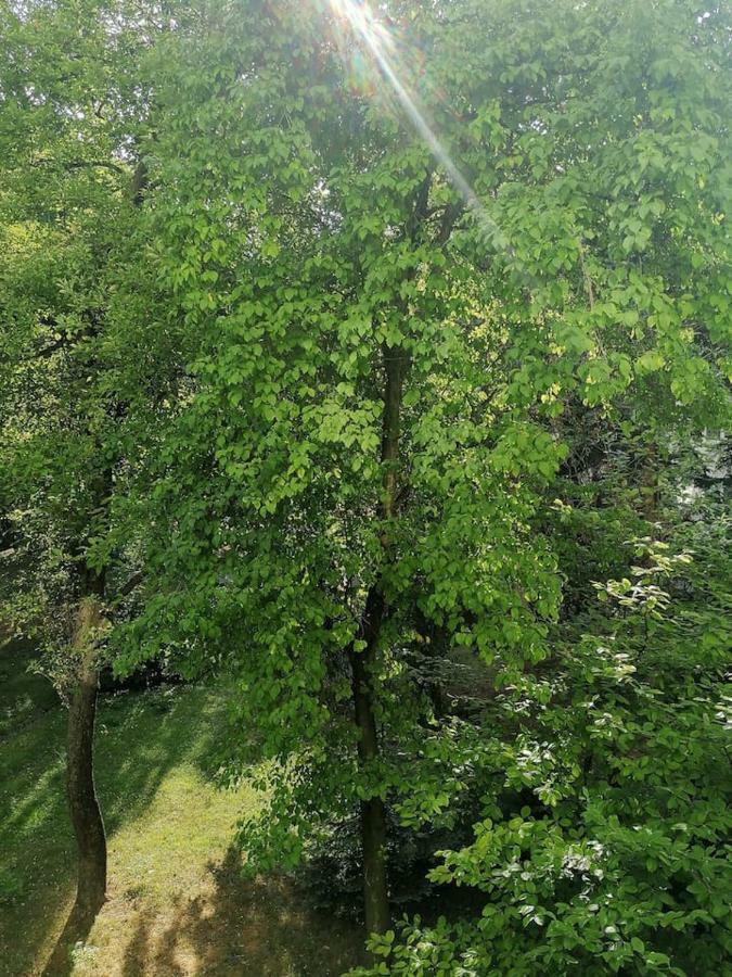 Sunny And Lovely Apartment. Near Chopin Airport! Apartment *