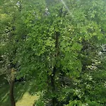Sunny And Lovely Apartment. Near Chopin Airport!